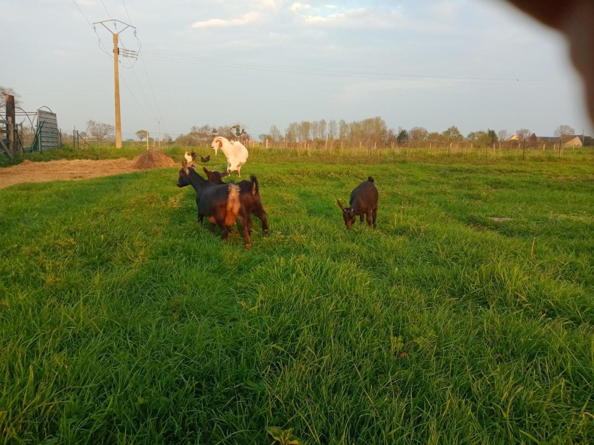 La Ferme D' Emerentine Bacilly Zewnętrze zdjęcie