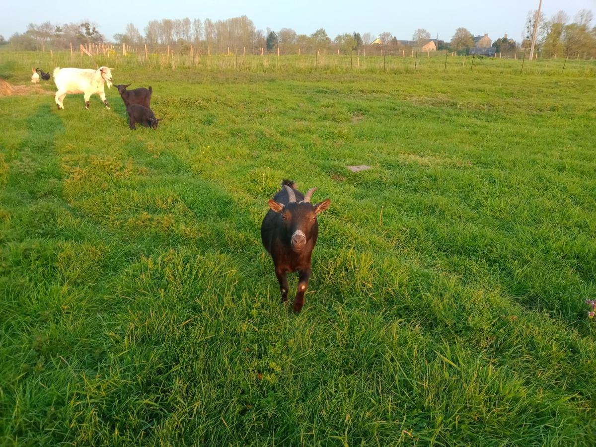 La Ferme D' Emerentine Bacilly Zewnętrze zdjęcie